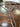 Leather Breeching|13657