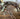 Leather Breeching|13656