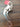 Crokett Solid Port Bit|11387