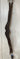 Exion Wave Overlay Girth w Padding - SZ 54"|13713