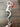 Crokett Solid Port Bit|11390