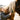 Seasonal Grooming Tricks: Shedding Season Tools Every Owner Needs
