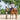 Riding Lesson Programs