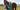 Veterinary Medicine in Our Community