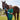 Veterinary Medicine in Our Community