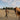 Equine Training