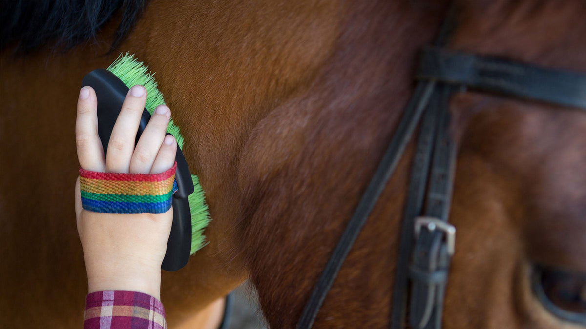 Grooming and Barn Supplies