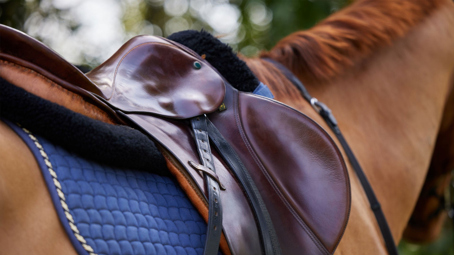 English Saddles – Rusty Spur Saddle Shop