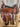 16" Circle Y Pioneer Flex 2 Trail Saddle - XW|16175