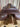 16" Collegiate Monoflap Eventing Saddle w Blue Cover|16055