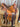15.5" CO Saddlery All Around Saddle - 7 1/4" Gullet/Wide/FQB w Lat, Off Billet, Fl Billets|17643