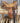12" Kid's Saddle|12036
