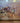 Russel Houston Picture 32" x 20"|16075