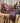 15.5" Saddle w Hdstll, BC, Lat, OBillet, SS - Narrow/6.5"|16252