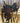 15" Cashel RO Trail Saddle - Wide - NEW!|5041