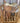 14.5" Silver Mesa Show Saddle - 6.5"/SQB/Narrow|10245