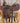 15" Diamond R Roping/Trail Saddle w/ Flank CInch|12068