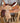 16" Saddle King RO All Around Saddle|12134