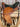 16" Synergist Endurance Saddle|13322