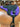 Professional Equine Purp and BK Bareback Pad|13555
