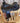 16" Scott Thomas Western Dressage Saddle - Wide Tree|15504
