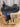 16" Scott Thomas Western Dressage Saddle - Wide Tree|15504