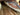 15.5” Blue Ribbon Show Saddle W Lat, OB - 6.5”  Gullet, 28” Skirt|16090