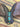 Saddle pro|16263