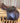 17.5" Duette Presto Close Contact Saddle|18050