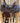 15.5” Simco Slick Seat Roping Saddle w Lat, OB, SS, Fl B - Model 4945|13186