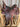14" Circle Y Park and Trail Saddle - 6.5" Narrow Tree|16117