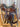 15.5" Cashel Trail Saddle - 7" Gullet Lat, OB, SS, Flank Cinch|18358