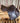 16" Collegiate Monoflap Eventing Saddle w Blue Cover|16053
