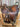 16” Skyhorse Wade Roping Saddle w Flank Cinch - Model 0998|16309