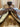 15.5” Blue Ribbon Show Saddle W Lat, OB - 6.5”  Gullet, 28” Skirt|16086