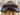 17” CWD SE01  Close Contact Saddle|15823