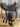 Endurance Saddle|16304