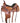 15.5” Courts Trail Saddle w Breast Collar and Fl Cinch|18154