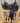 15" Scott Thomas Western Dressage Saddle - Wide Tree FQH|17154