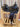 15" Scott Thomas Western Dressage Saddle - Wide Tree FQH|17154