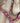 Headstall/Breast Collar Set Rose Bling|15598