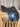 17" WIntec  All Purpose Saddle|17735