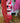 Jacqueline's Apparel Show Shirt Red/Pink MD|16511