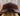17.5" CWD SEO2 CC Saddle with Cover|13228