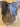 15” Dover Close Contact Saddle - Wide|16787