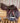 17” CWD SE02 Close Contact Saddles w Leathers, Irons and Cover|15058