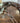 Leather Breeching|13656