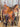 15.5" CO Saddlery All Around Saddle - 7 1/4" Gullet/Wide/FQB w Lat, Off Billet, Fl Billets|17642