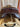 16” Circuit Close Contact Saddle wLeathers & Safe Stir|15764