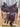 16" High Horse Sulphur River Trail Saddle - Wide Tree/FQB/7"|17230
